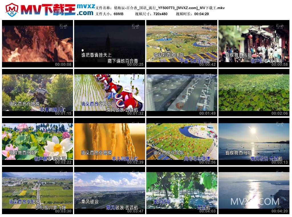 褚海辰-百合香_国语_流行_YF500773